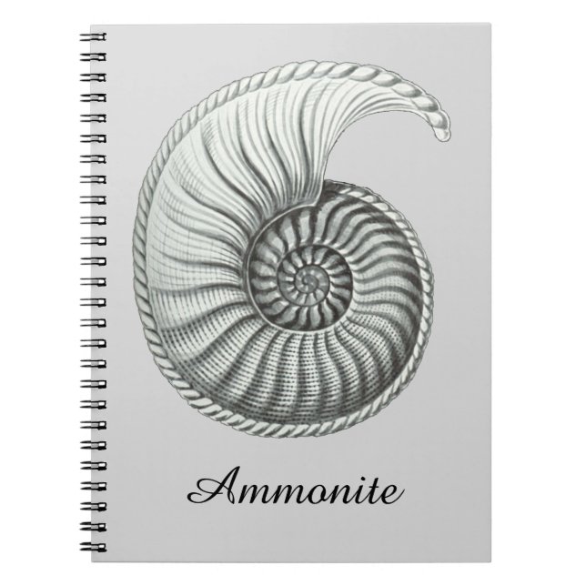 Carnet Ammonite (Devant)