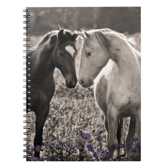 Carnet Amour de cheval (Devant)