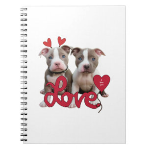 Carnet Amour de pitbull