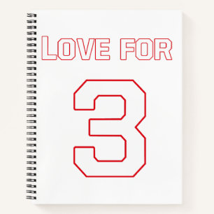 CARNET AMOUR POUR 3