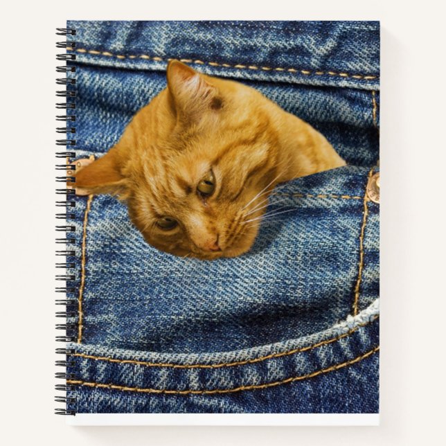 Carnet Amoureux de les chats mignons Garder cadeau (Devant)