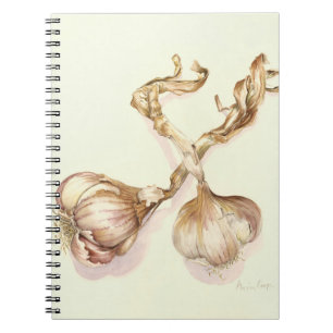 Carnet Ampoules 2005 d'ail