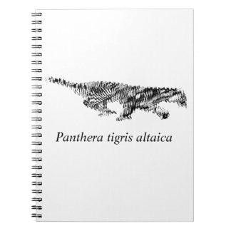 Carnet Amur Tiger#2