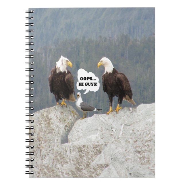 Carnet Amusants aigles et mouettes (Devant)