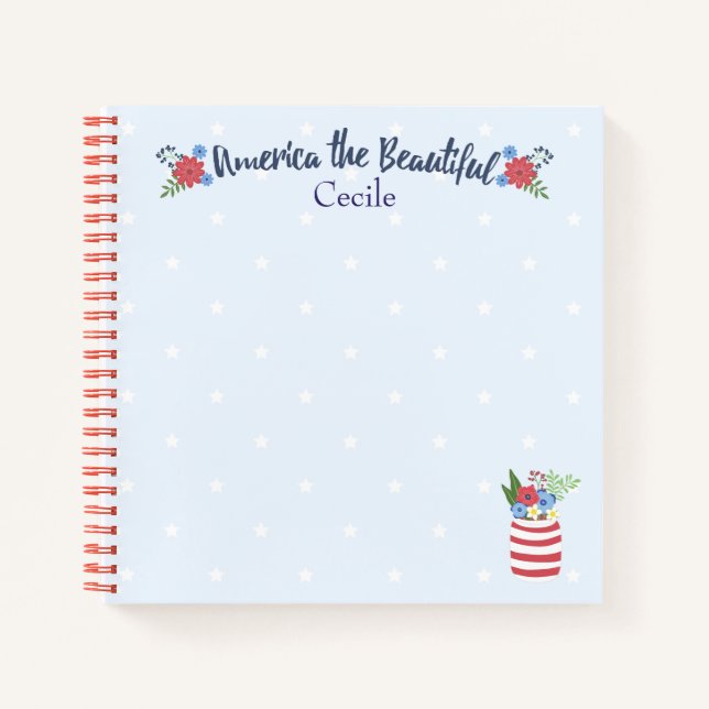 Carnet Amusement et Festive America le Beau (Devant)