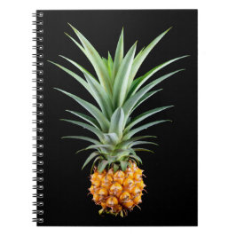 Carnet Ananas avec grande coiffure sur arrière - plan noi