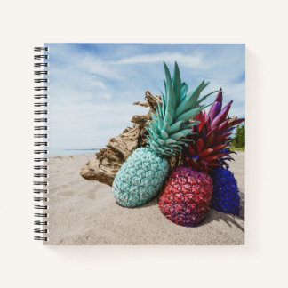 Carnet Ananas colorés sur une plage de sable