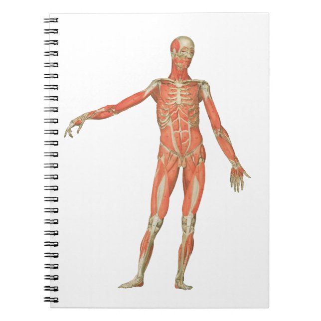 Carnet anatomie du corps humain (Devant)