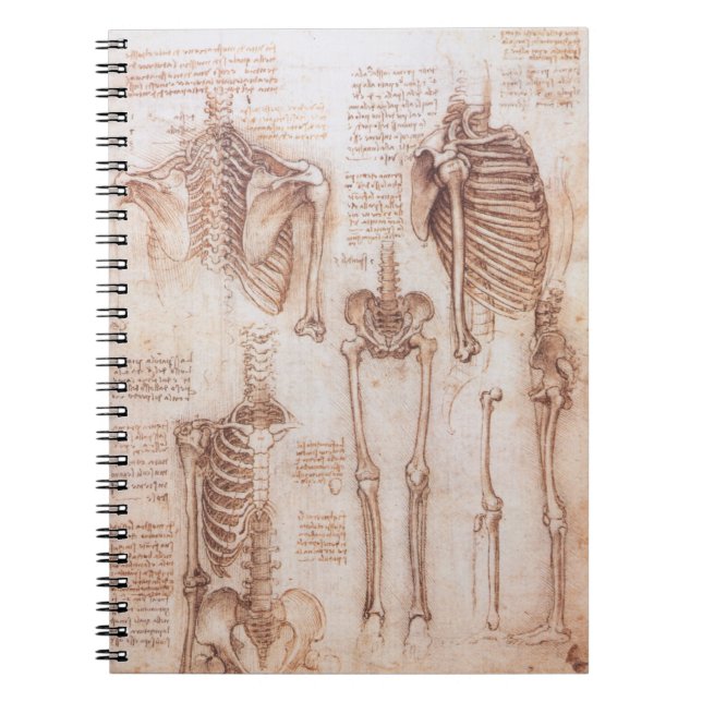 Carnet Anatomie humaine Squelette os par Leonardo da Vinc (Devant)