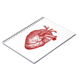 Carnet Anatomie vintage de coeur