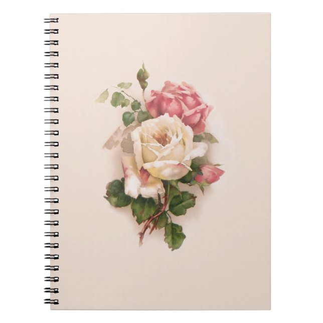 Carnet Ancien Arrière - plan blanc/rose Roses-Buff (Devant)