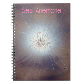 Carnet Anémone de mer