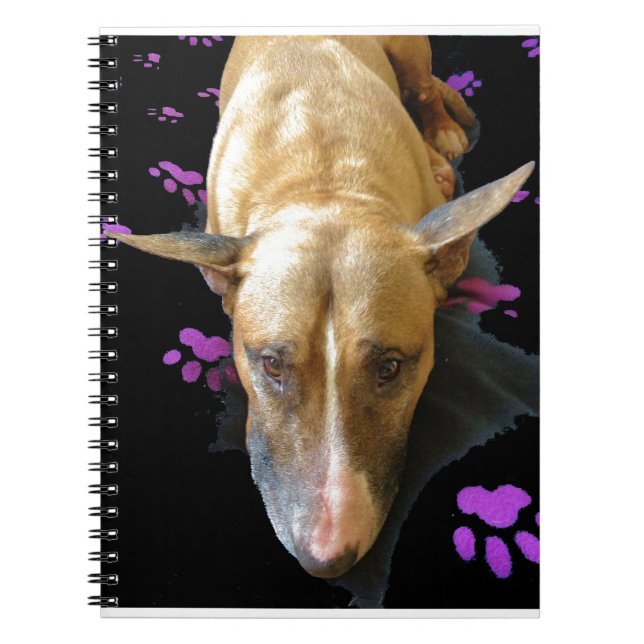Carnet anglais de bull-terrier (Devant)