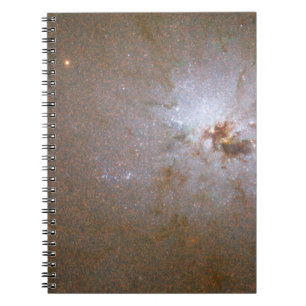 Carnet ANGST Survey Galaxy - NGC 3077