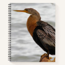 Carnet Anhinga On The Lookout
