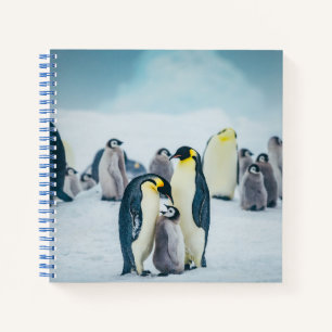 Carnet Animaux de bébés cutest Alimentation de pingouin