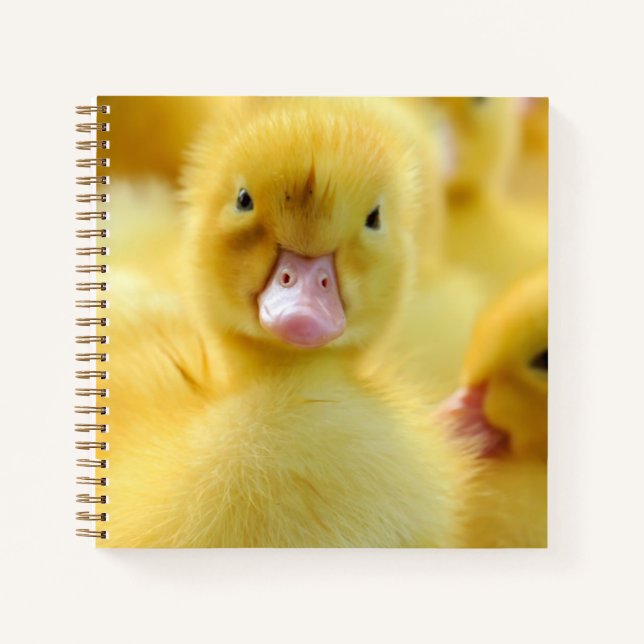 Carnet Animaux de bébés cutest | Baby Duck Group (Devant)