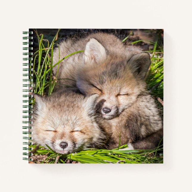 Carnet Animaux de bébés cutest | Baby Red Fox Kits Sleepi (Devant)