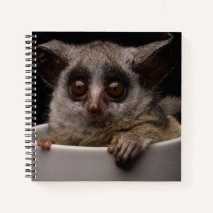 Carnet Animaux de bébés cutest Bébé mignon