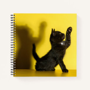 Carnet Animaux de bébés cutest   Black Cat Jouer