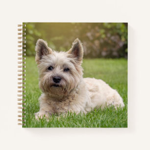 Carnet Animaux de bébés cutest   Cairn Terrier Dog