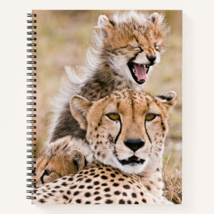 Carnet Animaux de bébés cutest   Cheetah Cat & Cub