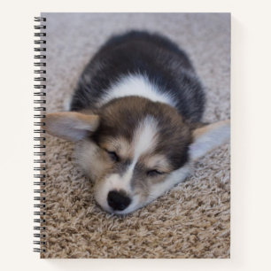 Carnet Animaux de bébés cutest   Corgi Chiot sur Shag Rug