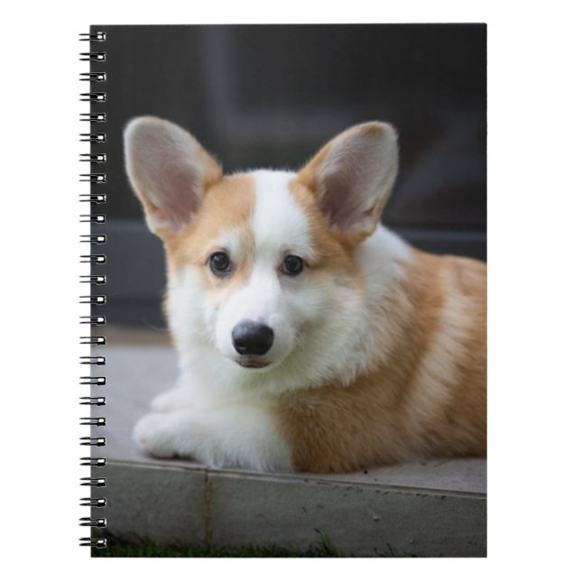 Carnet Animaux de bébés cutest | Corgi Puppy Relaxant (Devant)