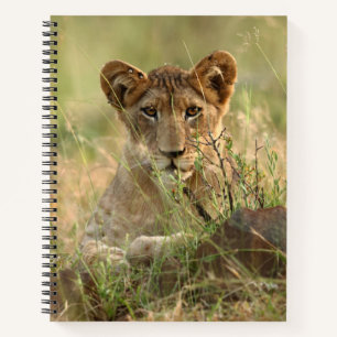 Carnet Animaux de bébés cutest Cute Baby Lion Cub