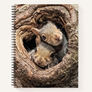 Carnet Animaux de bébés cutest   Deux jeunes écureuils