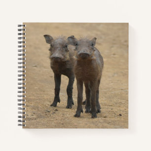 Carnet Animaux de bébés cutest   Deux jeunes phacochères