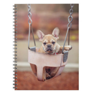 Carnet Animaux de bébés cutest French Bulldog Playgroun