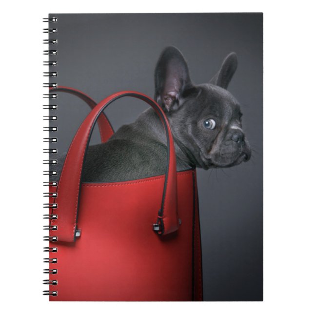 Carnet Animaux de bébés cutest | French Bulldog Red Hand  (Devant)
