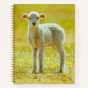 Carnet Animaux de bébés cutest Jeune mouton