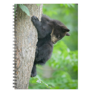 Carnet Animaux de bébés cutest Jeune ours Ours Noir