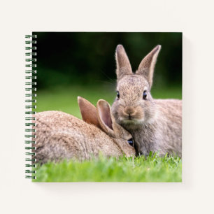 Carnet Animaux de bébés cutest Lapins de lapin sauvage