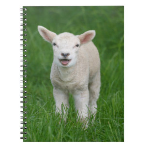 Carnet Animaux de bébés cutest Lil Lamb