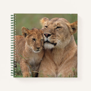 Carnet Animaux de bébés cutest Lion Cub & Mother