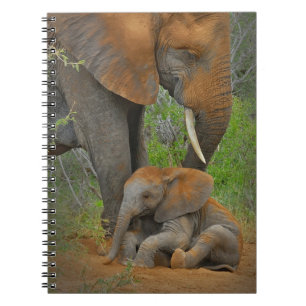 Carnet Animaux de bébés cutest   Mama Elephant & Baby