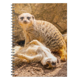 Carnet Animaux de bébés cutest Meerkats joueurs