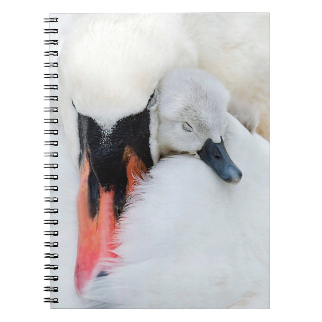 Carnet Animaux de bébés cutest | Mère et bébé Mute Swan (Devant)