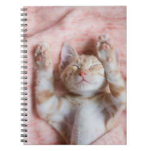 Carnet Animaux de bébés cutest Minuscule chaton rayé or