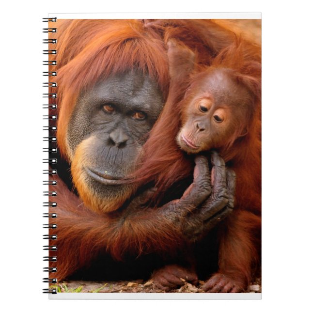 Carnet Animaux de bébés cutest | Orangutan Maman & Baby (Devant)