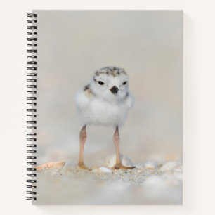 Carnet Animaux de bébés cutest Poussette de tuyauterie