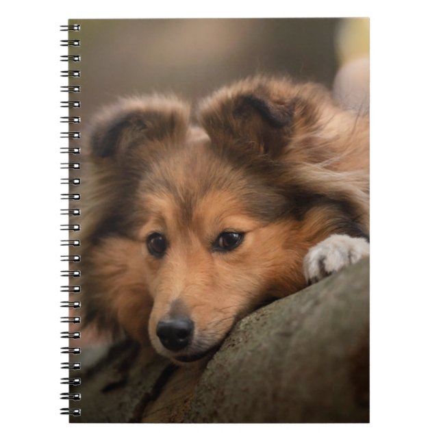 Carnet Animaux de bébés cutest | Shetland Sheepdog Puppy (Devant)