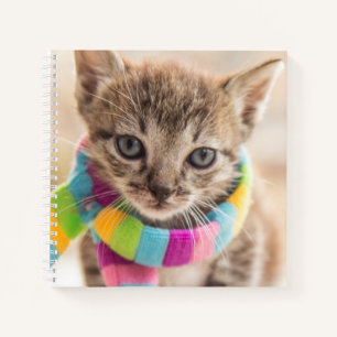 Carnet Animaux de bébés cutest   Tabby Kitten Écharpe arc