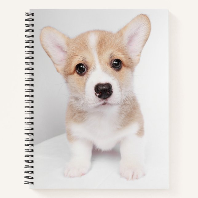 Carnet Animaux de bébés cutest | Tiny Corgi (Devant)