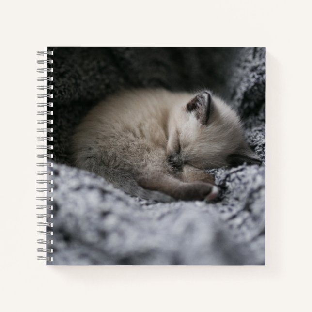 Carnet Animaux de bébés cutest | Tiny Kitten Dormir (Devant)