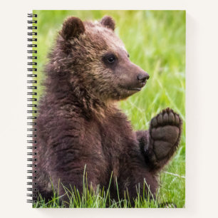 Carnet Animaux de bébés cutest Vague d'ours Brown
