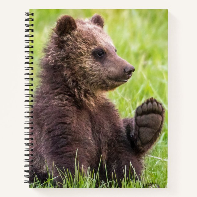 Carnet Animaux de bébés cutest | Vague d'ours Brown (Devant)